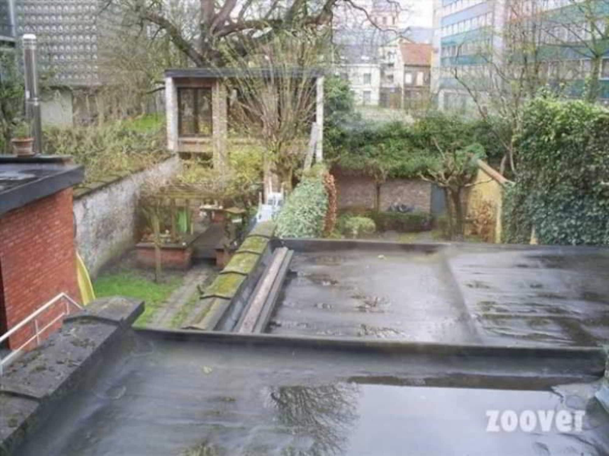 B&B Sparrow'S Nest Gent Exterior foto